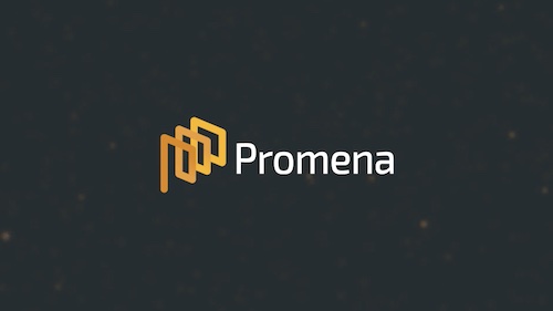 Meet our strategic procurement platform: Promena