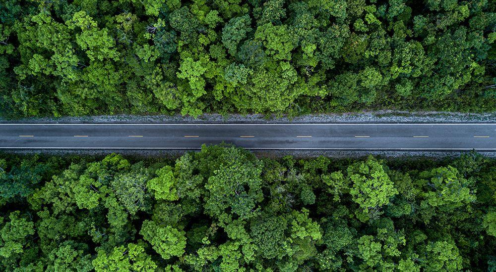 Our environment and gender equality conscious project: Responsible Travel