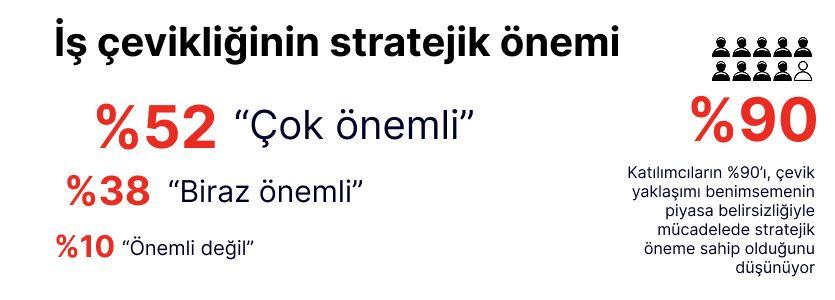 06_agile2.jpg