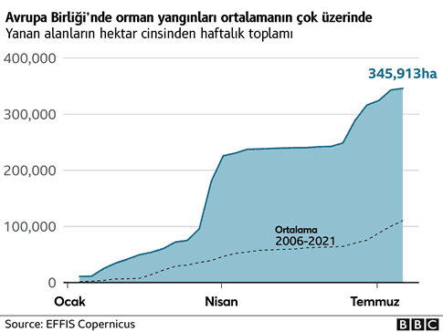 orman-yanginlari-tablo.png